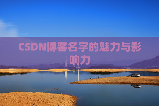 CSDN博客名字的魅力与影响力
